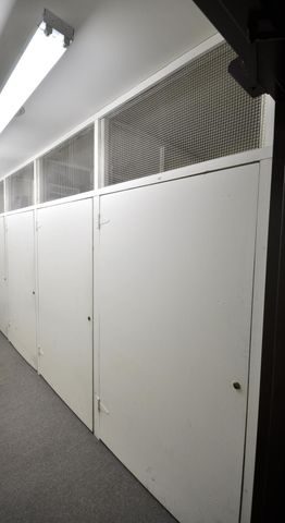 317 6th Avenue SW 501, Rochester, MN 55902