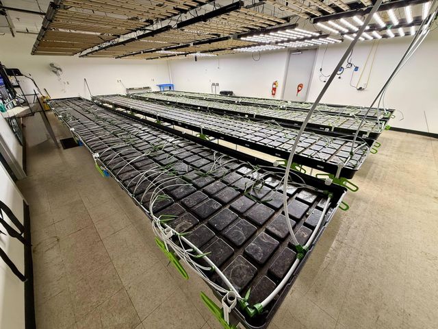 2277 Thunderstick Drive, Lexington, KY 40505