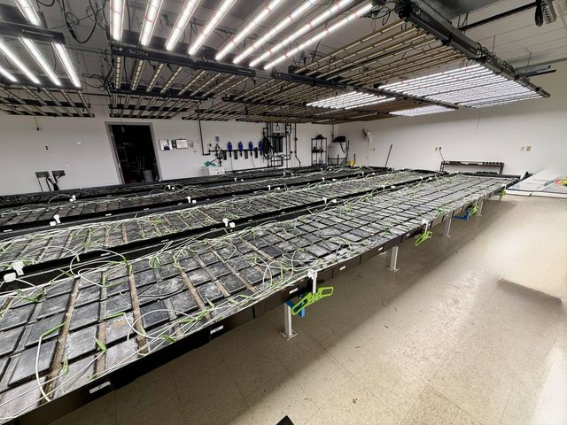 2277 Thunderstick Drive, Lexington, KY 40505