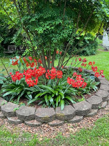 1103 Peachtree Road NW, Wilson, NC 27896