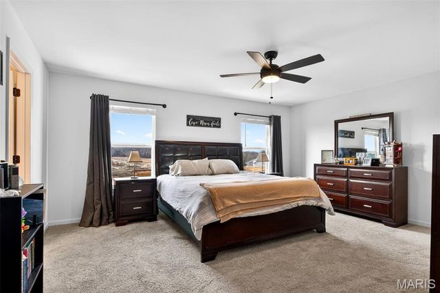 349 Valley Bluff Drive, Wentzville, MO 63385