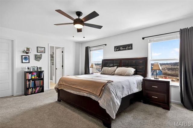 349 Valley Bluff Drive, Wentzville, MO 63385