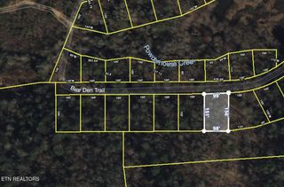 Lot 113 Bear Den Tr, Grandview, TN 37337