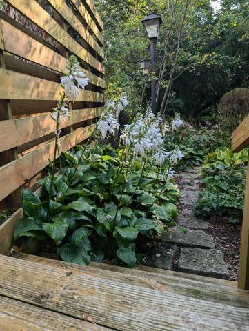 452 W Third Street, Lexington, KY 40508