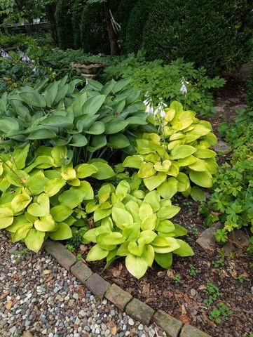 452 W Third Street, Lexington, KY 40508