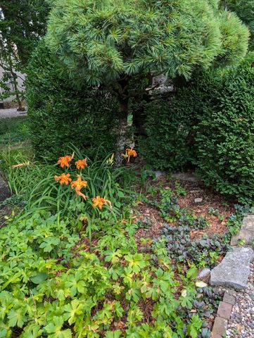 452 W Third Street, Lexington, KY 40508