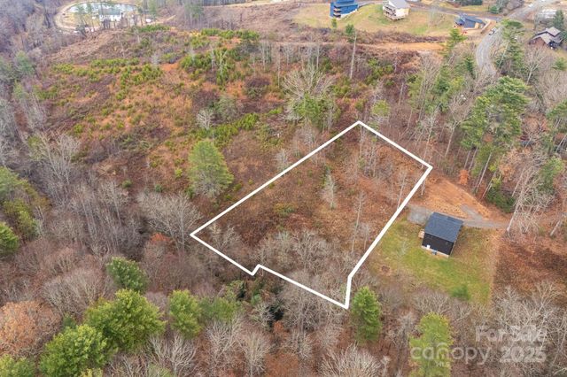 9999 Gizmo Trail, Leicester, NC 28748