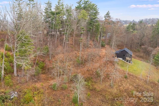 9999 Gizmo Trail, Leicester, NC 28748