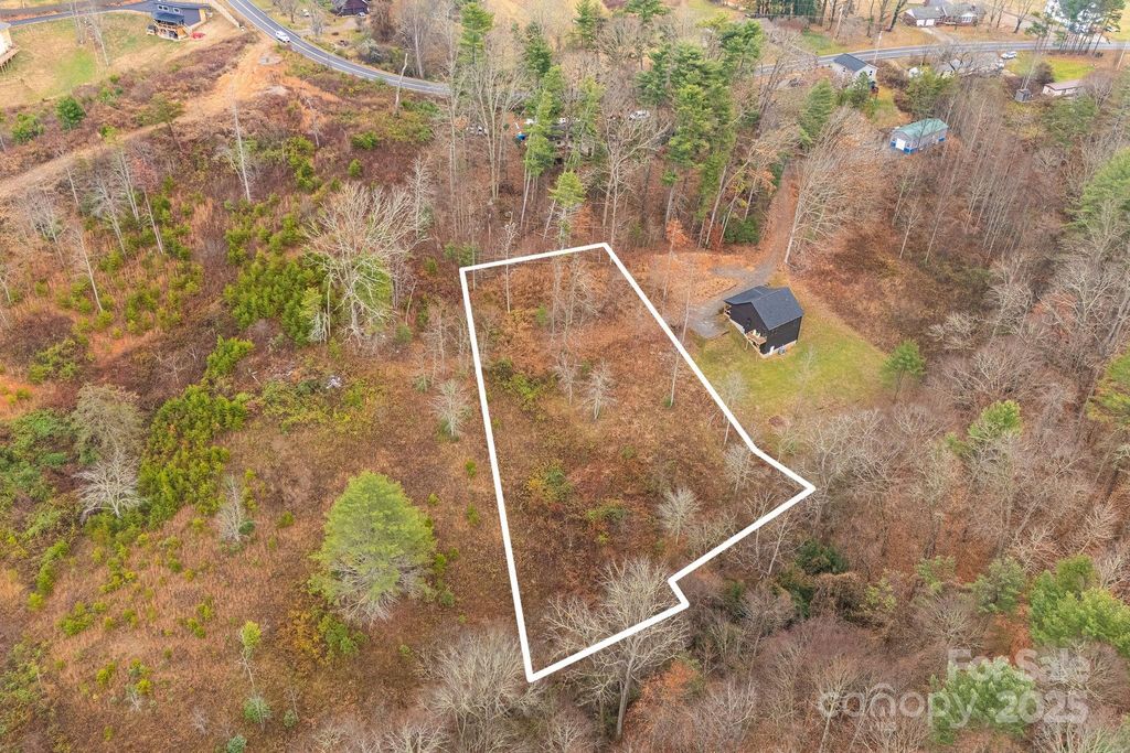 9999 Gizmo Trail, Leicester, NC 28748