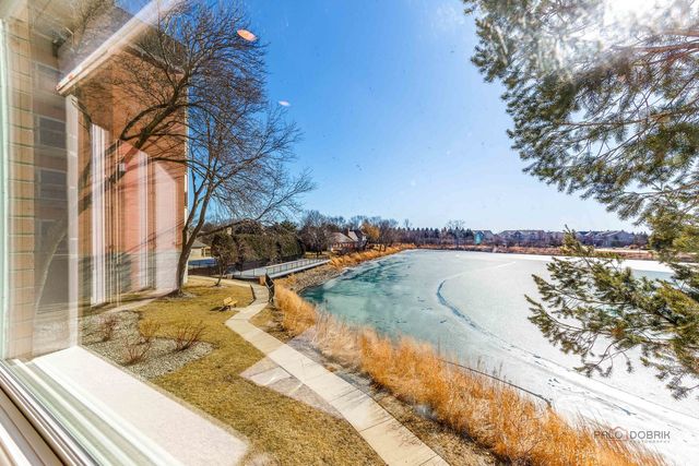 209 Rivershire Lane 203, Lincolnshire, IL 60069