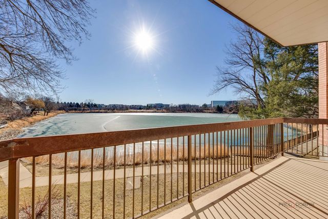 209 Rivershire Lane 203, Lincolnshire, IL 60069