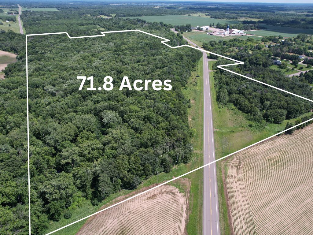 TBD 17th St., Santiago Twp, MN 55319