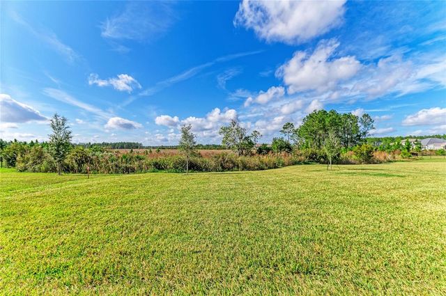 35418 BIG HAWK DRIVE, Zephyrhills, FL 33541