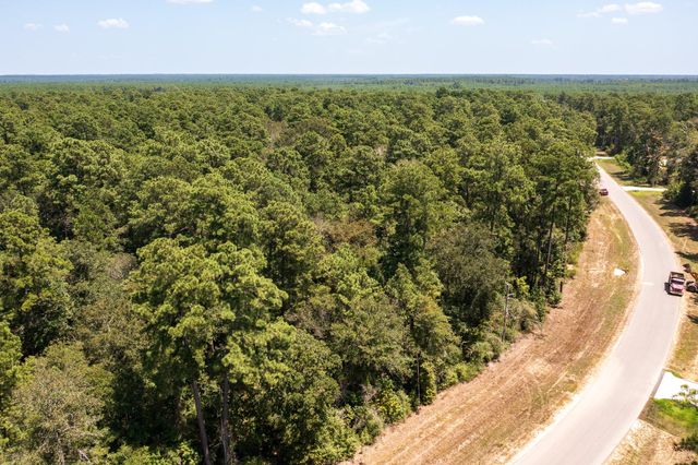 15628 Wood Grove Way, Willis, TX 77378