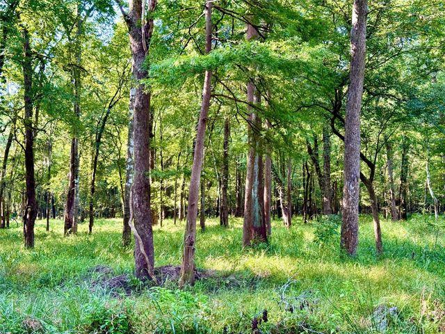 551 Private Road 643a, Dayton, TX 77535