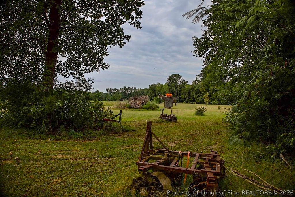 799 Cain Road, St Pauls, NC 28384 — photo 5