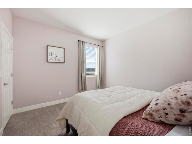 6399 Verna Ct, Timnath, CO 80547