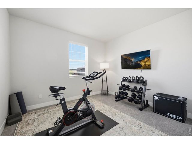 6399 Verna Ct, Timnath, CO 80547