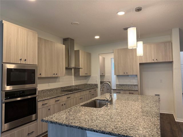 33263 SYCAMORE LEAF DRIVE, Wesley Chapel, FL 33545