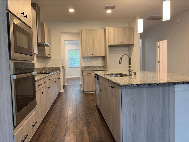 33263 SYCAMORE LEAF DRIVE, Wesley Chapel, FL 33545