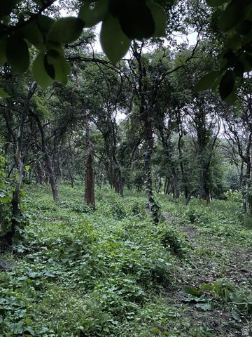 414 JUNIPER CT, Wellsville, UT 84339