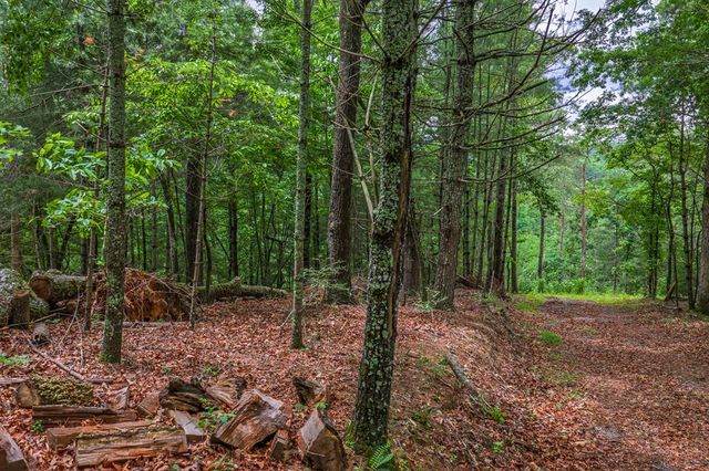 9 Deer Haven Drive, Morganton, GA 30560