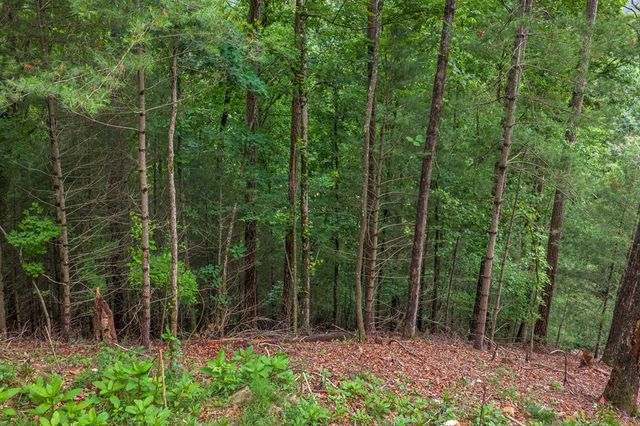 9 Deer Haven Drive, Morganton, GA 30560