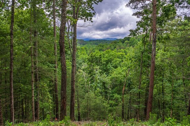 9 Deer Haven Drive, Morganton, GA 30560