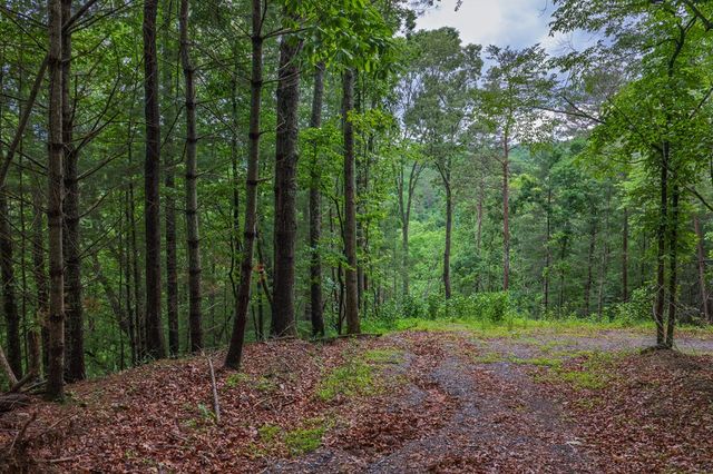 9 Deer Haven Drive, Morganton, GA 30560
