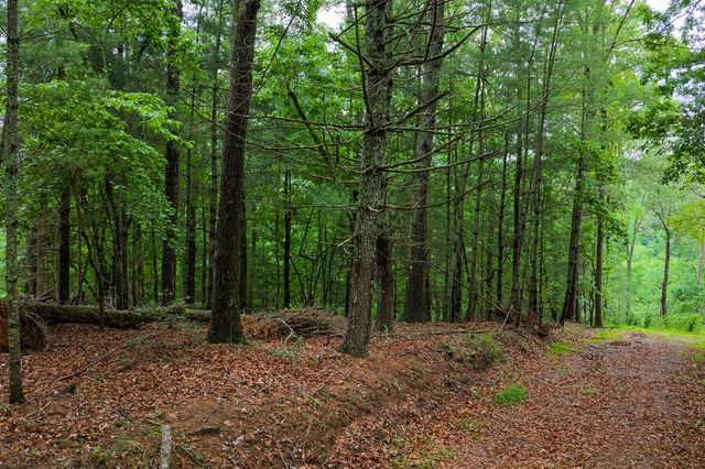 9 Deer Haven Drive, Morganton, GA 30560