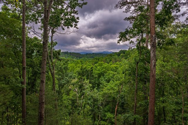 9 Deer Haven Drive, Morganton, GA 30560