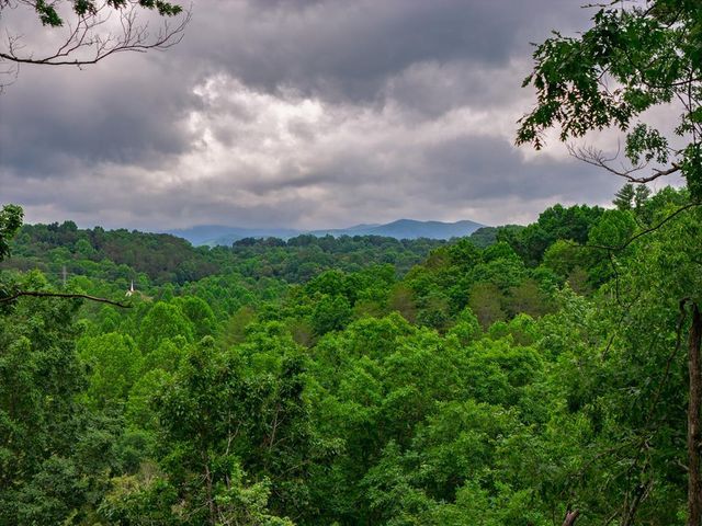 9 Deer Haven Drive, Morganton, GA 30560