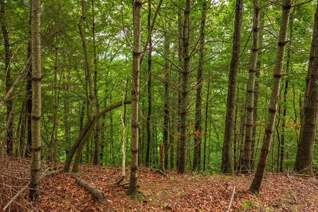 9 Deer Haven Drive, Morganton, GA 30560
