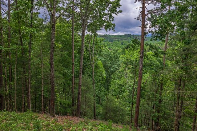 9 Deer Haven Drive, Morganton, GA 30560