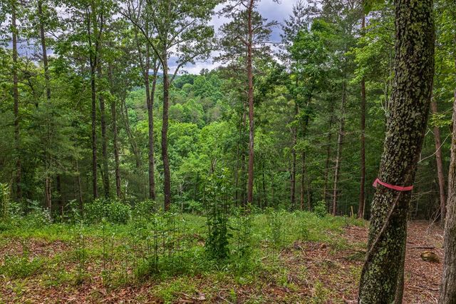 9 Deer Haven Drive, Morganton, GA 30560