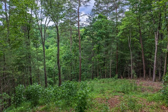 9 Deer Haven Drive, Morganton, GA 30560