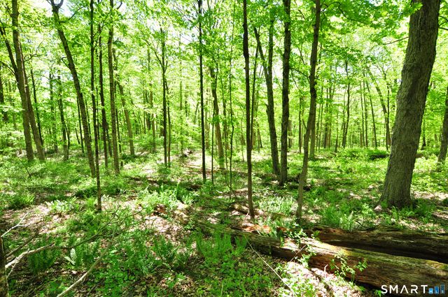 63 Shearer Road, Washington, CT 06793
