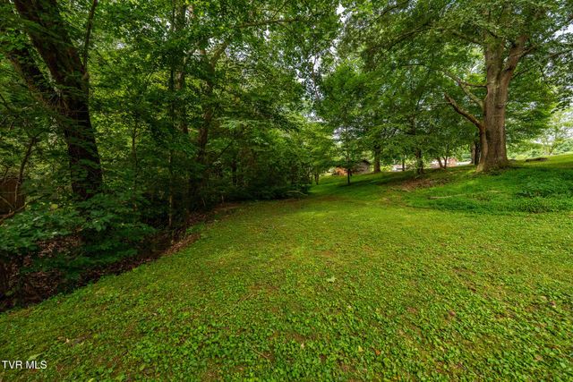 231 Pine Laurel Circle, Bluff City, TN 37618