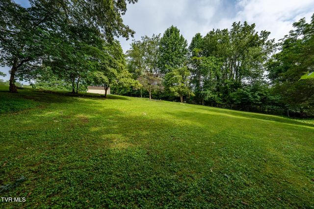231 Pine Laurel Circle, Bluff City, TN 37618