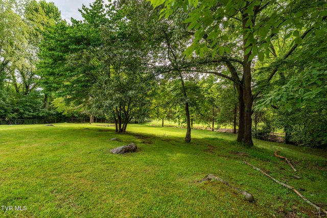 231 Pine Laurel Circle, Bluff City, TN 37618