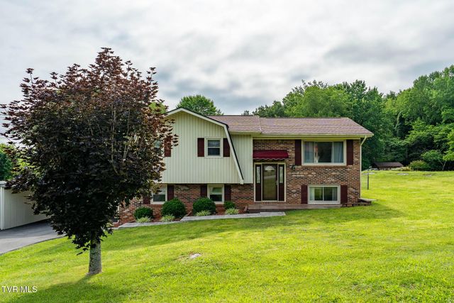 231 Pine Laurel Circle, Bluff City, TN 37618