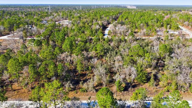 0 Velvet Scoter Avenue, Weeki Wachee, FL 34614