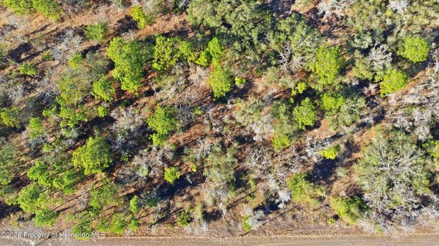 0 Velvet Scoter Avenue, Weeki Wachee, FL 34614