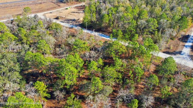 0 Velvet Scoter Avenue, Weeki Wachee, FL 34614