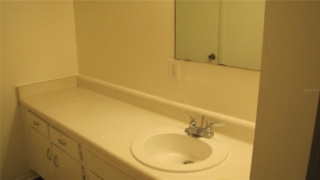 7506 NEEDLE LEAF PLACE 56, Tampa, FL 33617