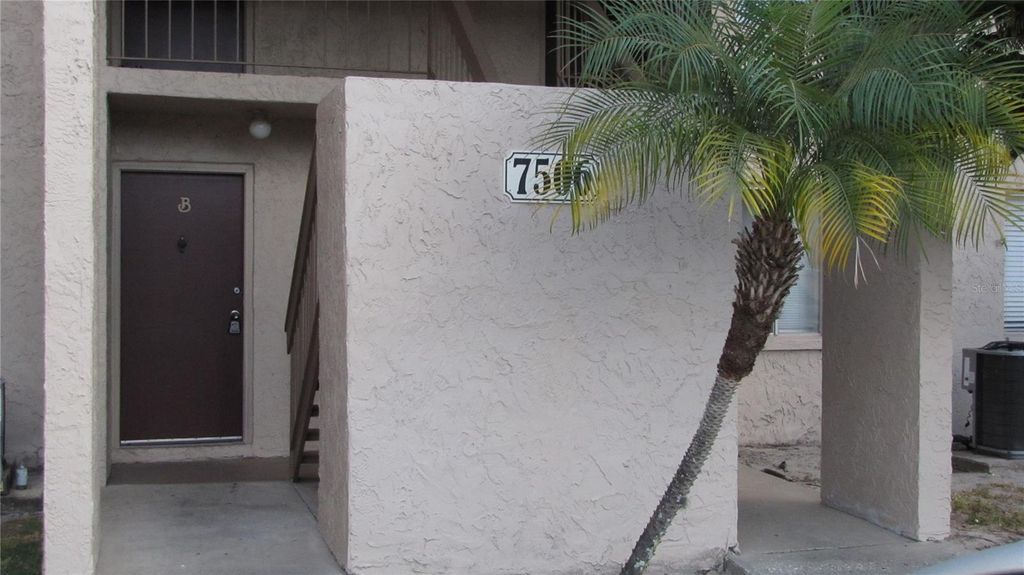 7506 NEEDLE LEAF PLACE 56, Tampa, FL 33617