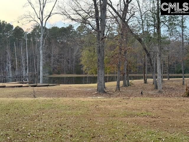 50 Steve Free Road, Chapin, SC 29036