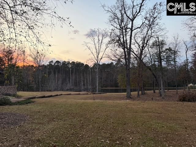 50 Steve Free Road, Chapin, SC 29036