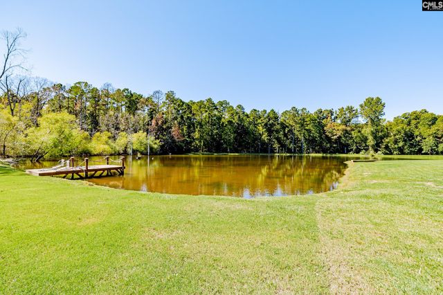 50 Steve Free Road, Chapin, SC 29036