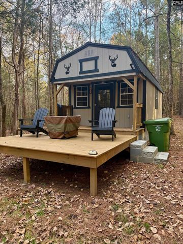 50 Steve Free Road, Chapin, SC 29036